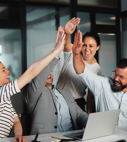 Editorial Review Summary